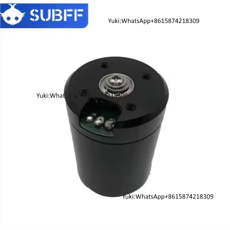 Motore Brushless DC Subacqueo  - Brushless Motor recensione e prezzo