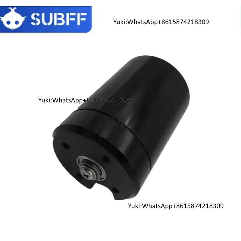 Motore Brushless DC Subacqueo  - Brushless Motor recensione e prezzo